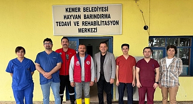 Satın alma sahiplen