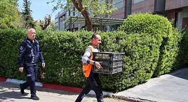 Şehirlerarası Otobüs Terminalinde usulsüz şekilde taşınan 300 civciv yakalandı