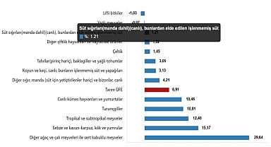 Tarım Ürünleri Üretici Fiyat Endeksi, Mart 2025