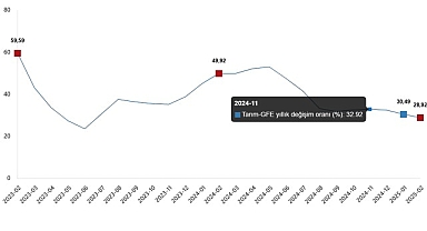 Tarımsal Girdi Fiyat Endeksi, Şubat 2025