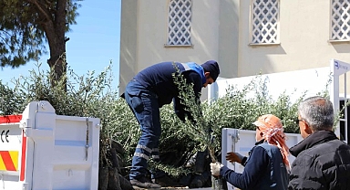 Urla’da zeytin seferberliği 20 mahalleye fidan desteği