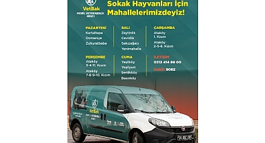 “Vetbak” patili dostların yanında olmaya devam ediyor