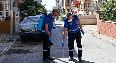 Buca’da Haşere ve Zararlılara Karşı İlaçlama Seferberliği
