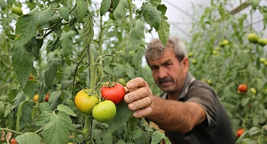 Büyükşehir’den yüzde 50 hibeli sera desteği