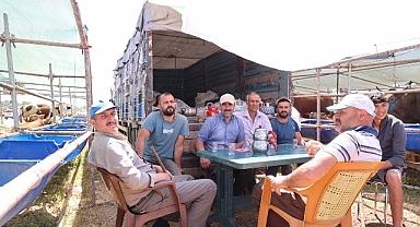 Büyükşehir kurban satış noktalarını ilaçlıyor