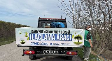 Canik'te Kokarca Böceğine Karşı Mücadelede Atak