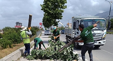 Fırtınanın Zarar Verdiği Ağaçlar Kaldırıldı