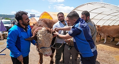 Gaziemir’de kurban satış yerlerinde sıkı denetim