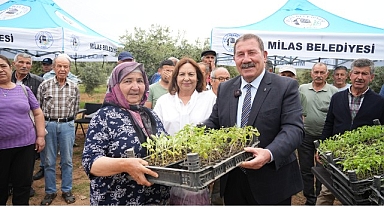 Milas Belediyesi, ata tohumlarını yaşatmak için üreticilere fide dağıtımı gerçekleştirdi
