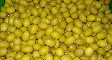 Sofralık zeytin ihracatı 250 milyon dolara koşuyor
