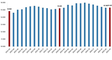 Ücretli Çalışan İstatistikleri, Mart 2025