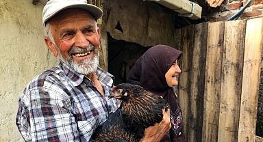 Üreticiye yüzde 50 hibeli yumurta tavuğu desteği