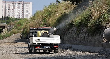Bakırköy Belediyesi ve İBB işbirliğiyle vektörle mücadele