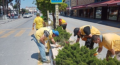 Başkan Çerçioğlu’nun Hizmetleri Kuşadası’nı Doğanın Yeşil Tonları ile Buluşturuyor