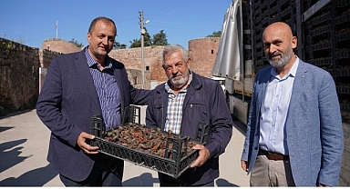 Bayram Öncesi İznik’te Mezarlıklar Çiçek Açıyor