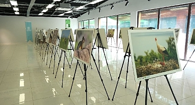 Bu fotoğraf sergisi Ormanya'da görsel şölen sunuyor