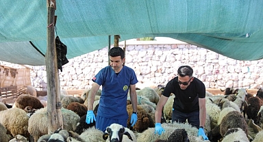 Buca’da Kurban Bayramı öncesi sıkı denetim