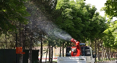 Çankaya Belediyesi’nden Yaz Aylarına Özel İlaçlama