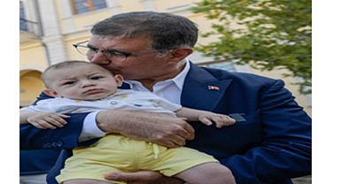 Devrilen çınar ağacı yerine yenisi dikildi