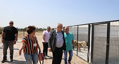 Edremit Belediyesi can dostlara sahip çıkıyor