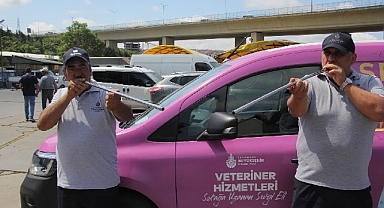 İBB boğa timi görev başında
