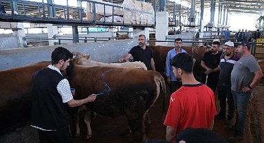 İnegöl Modern Hayvan Pazarı Beşinci Kez Bayram Sevinci Yaşattı