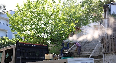 Karabağlar’da Haşerelere Karşı İlaçlama Seferberliği