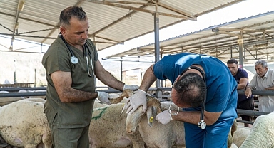 Karşıyaka, Kurban Bayramı’na hazır!