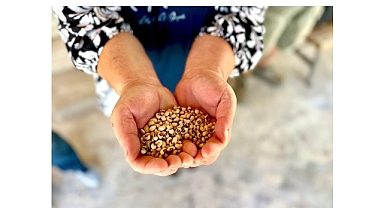 Köylünün toprağına, Urla’nın börülcesine sahip çıkıyoruz