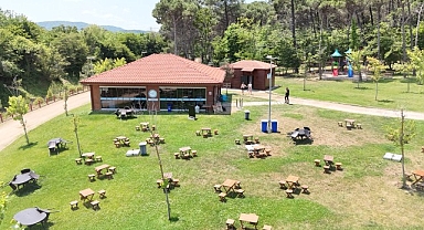 Miço Kadınlar Plajı'nda yok yok