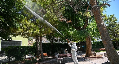 Selçuklu Belediyesi yeşil alan ilaçlamalarını dış mahallelerde de sürdürüyor