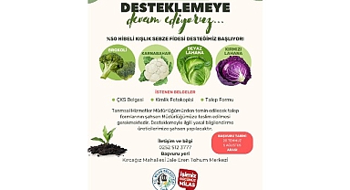 Yüzde 50 Hibelı Kışlık Sebze Fidesi Başvuruları Başlıyor