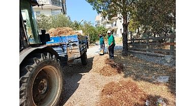 Ayvalık Belediye Başkanı Mesut Ergin;