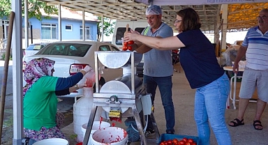 Ayvalık’ta Salça Zamanı Başlıyor!