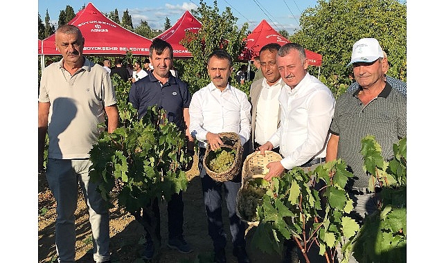 Başkan Büyükakın, İzmit'te üzüm hasadına katıldı
