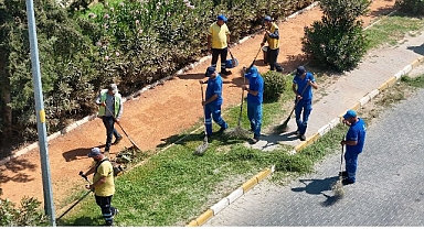 Başkan Çerçioğlu'ndan Nazilli’ye yeşil dokunuş