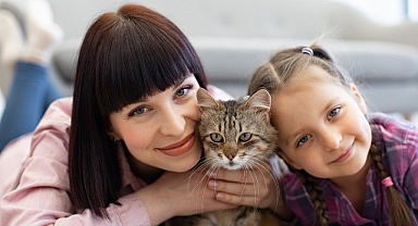 Kedilerin Hayatımıza Katkıları Sadece Sevgiyle Sınırlı Değil