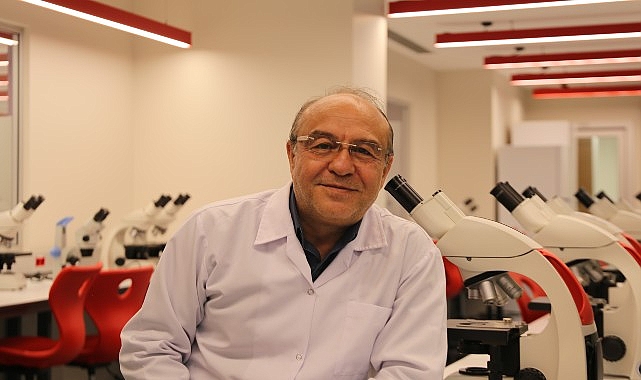 Pestisitler, arı nüfusunu da tehdit ediyor! Arıların yok oluşu zincirleme bir çöküşe sebep olur!