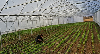 Büyükşehir'den çiftçilere modern sera desteği