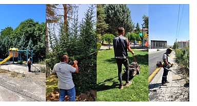 İlçe Genelinde Yabani Ot ve Çim Biçme Seferberliği