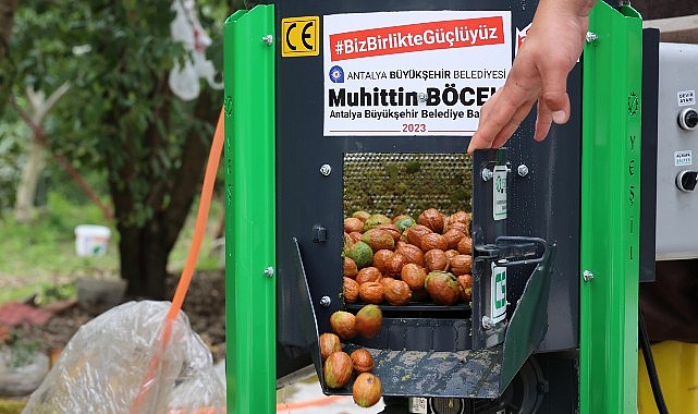 Büyükşehir’in ceviz soyma makineleri üreticilerin hizmetinde