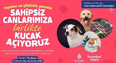 İstanbul Vakfı'ndan sahipsiz can dostlarımıza destek çağrısı