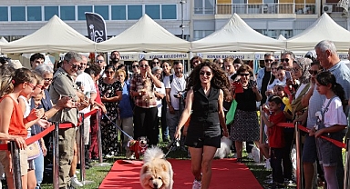 Patilerin Festivali 6 yaşında