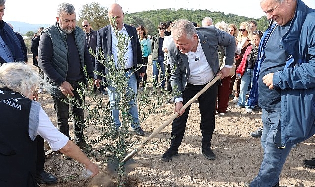 Atatürk’ün Vasiyeti Urla’da Hayata Geçti: Zeytin Koleksiyon Bahçesi’nde İlk Fidan Dikimi