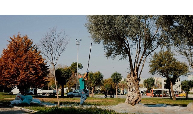 Balçova Belediyesi'nden Kentin Bereketine Sahip Çıkan Örnek Çalışma