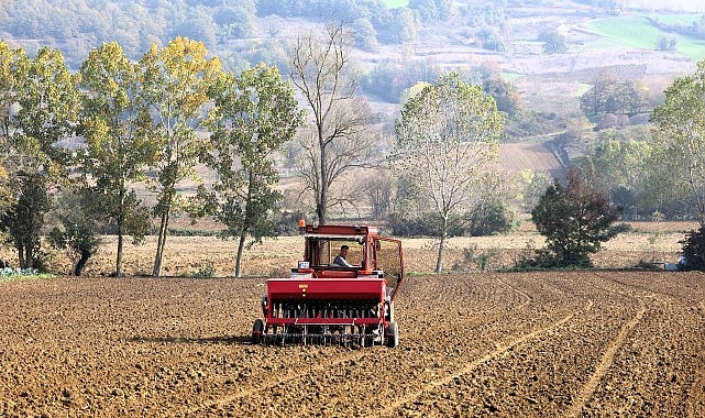 Büyükşehir'in hibeli tohumları toprakla buluştu