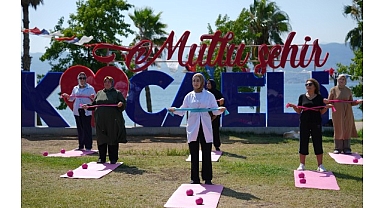 Büyükşehir modeli Avrupa'da örnek gösterildi