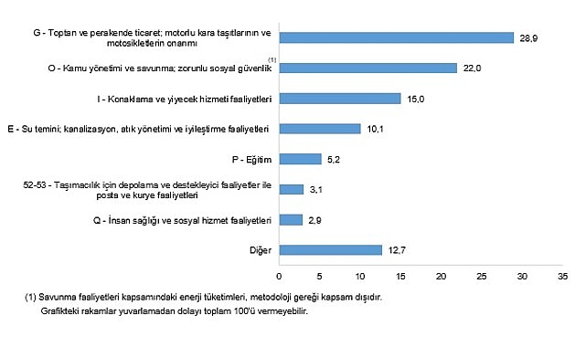 Hizmet-Ticaret Sektörü Nihai Enerji Tüketim İstatistikleri, 2024
