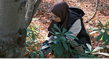 Kuzuyayla'da mantarların gizemli dünyası keşfedildi