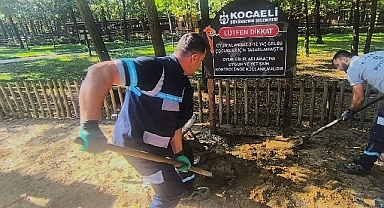 Ormanya'da oyun gruplarına periyodik bakım